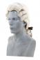 Preview: Wig Rokoko Man